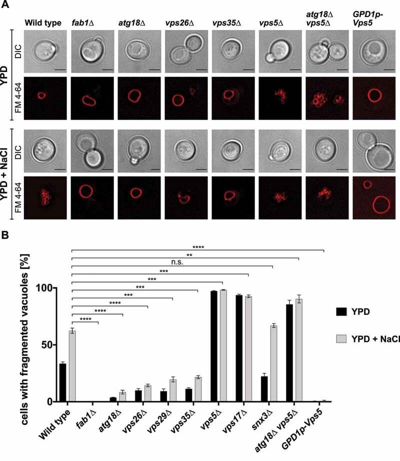 https://cdn.ncbi.nlm.nih.gov/pmc/blobs/40c0/9809942/b985e7d19b59/KAUP_A_2072656_F0005_OC.jpg