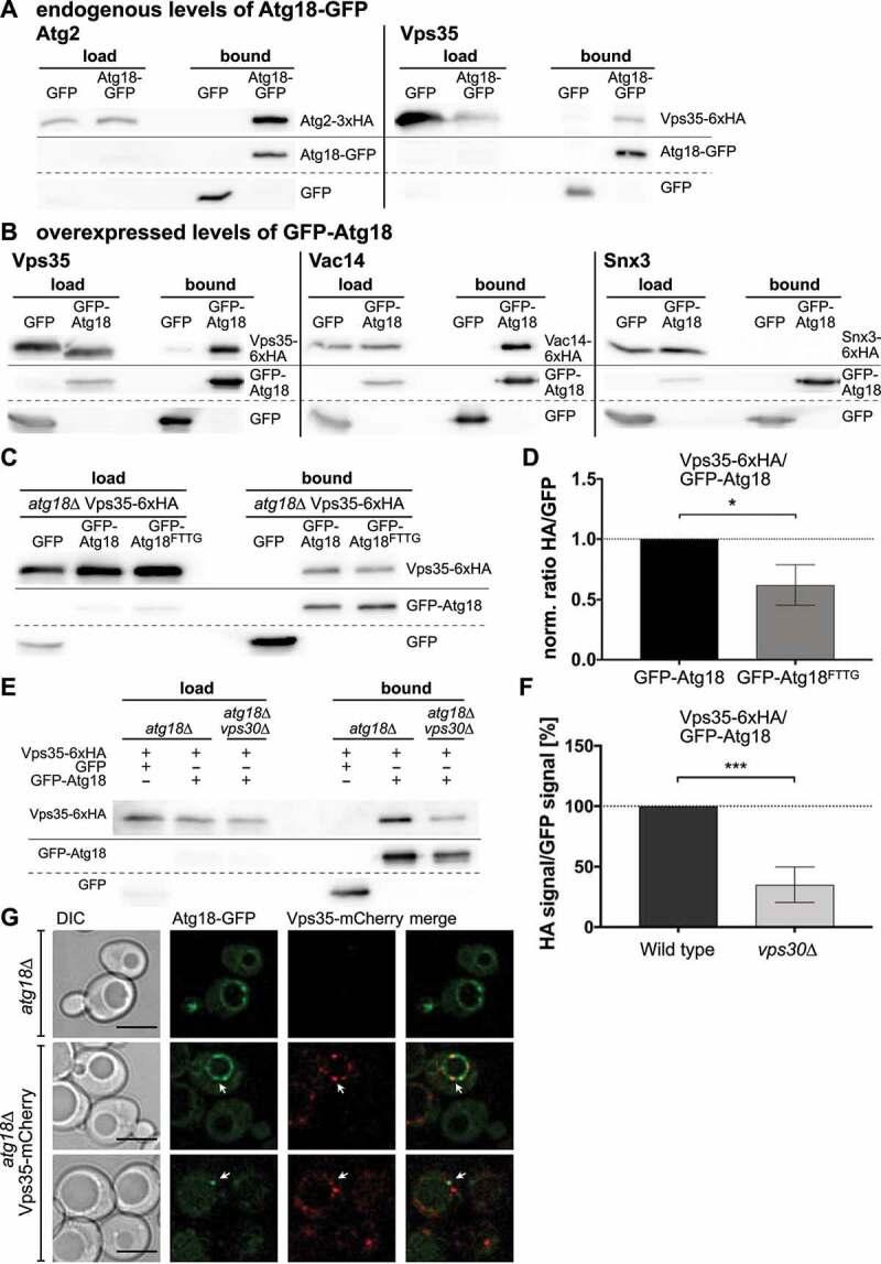https://cdn.ncbi.nlm.nih.gov/pmc/blobs/40c0/9809942/d551e437fbce/KAUP_A_2072656_F0002_OC.jpg