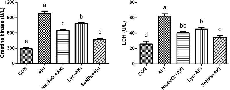 https://cdn.ncbi.nlm.nih.gov/pmc/blobs/40c2/8254550/5d7c7760f0f6/IJN-16-4335-g0002.jpg