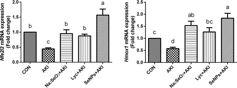 https://cdn.ncbi.nlm.nih.gov/pmc/blobs/40c2/8254550/c30ee43d82e0/IJN-16-4335-g0006.jpg
