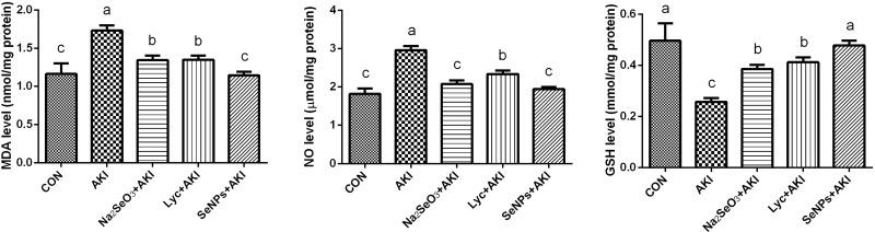 https://cdn.ncbi.nlm.nih.gov/pmc/blobs/40c2/8254550/f13c35c4d2ec/IJN-16-4335-g0004.jpg