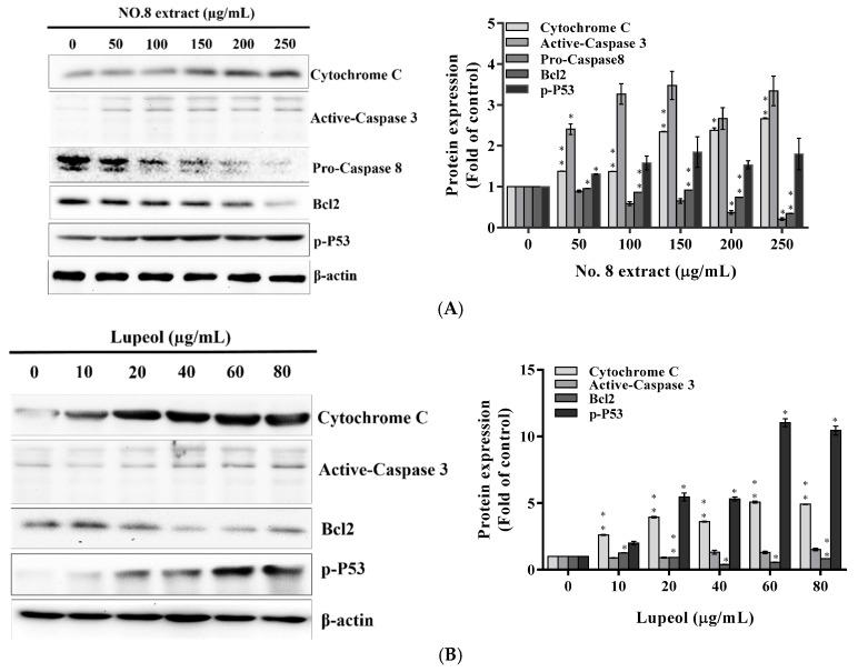 https://cdn.ncbi.nlm.nih.gov/pmc/blobs/40c3/5622708/09f6cc9605be/nutrients-09-00948-g003.jpg