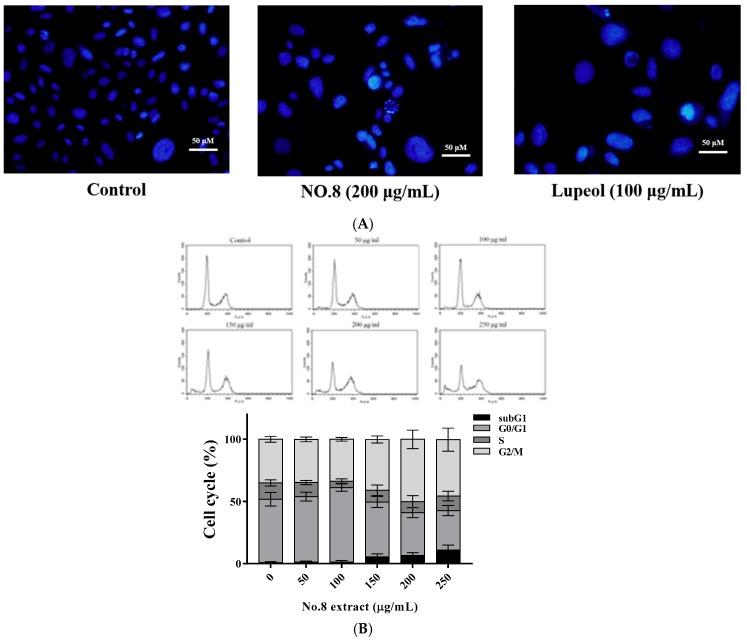 https://cdn.ncbi.nlm.nih.gov/pmc/blobs/40c3/5622708/34427c9a0d6c/nutrients-09-00948-g002a.jpg