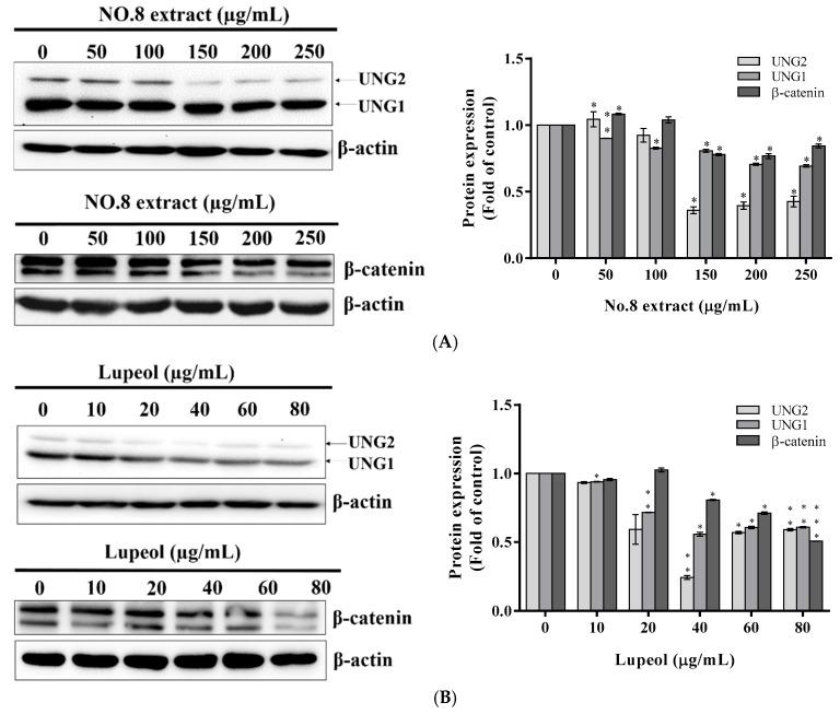 https://cdn.ncbi.nlm.nih.gov/pmc/blobs/40c3/5622708/832f466022e1/nutrients-09-00948-g004.jpg