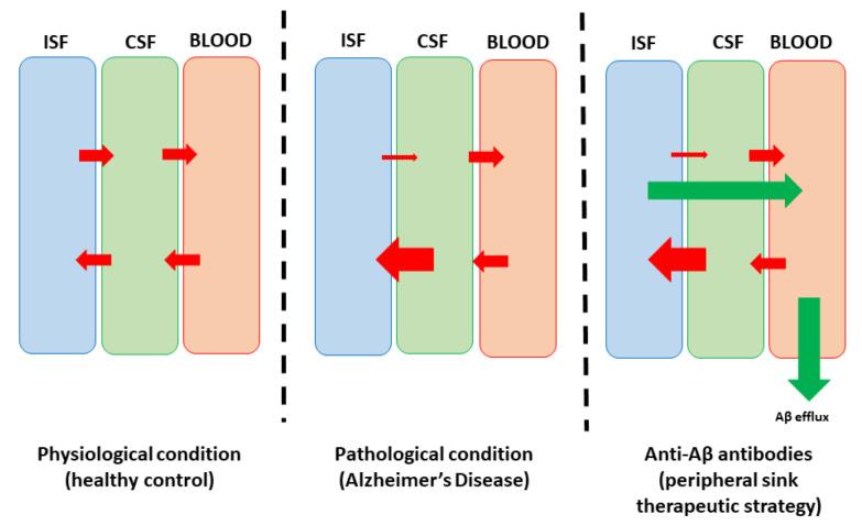 https://cdn.ncbi.nlm.nih.gov/pmc/blobs/40c4/11117736/c6bbed1ac669/biomedicines-12-01096-g002.jpg