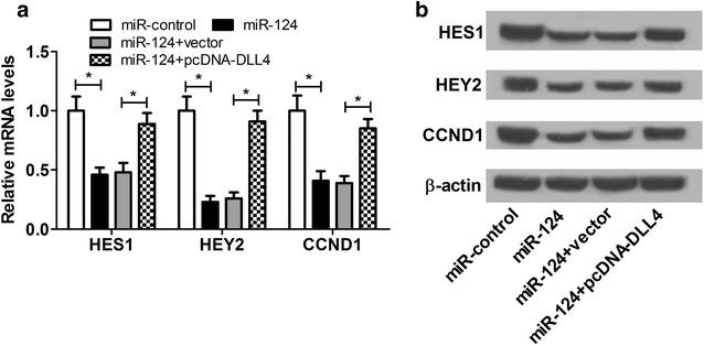 https://cdn.ncbi.nlm.nih.gov/pmc/blobs/40c5/5725914/fb58055f8f5d/13578_2017_194_Fig7_HTML.jpg