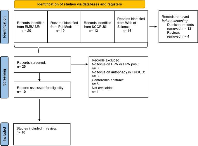 https://cdn.ncbi.nlm.nih.gov/pmc/blobs/40c7/10827959/d8690c873987/432_2023_5514_Fig2_HTML.jpg