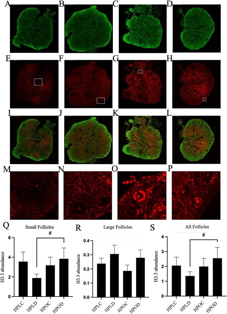 https://cdn.ncbi.nlm.nih.gov/pmc/blobs/40c8/10873273/331673b23ff6/ioad140f3.jpg