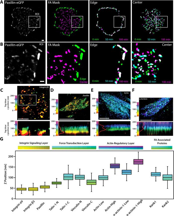 https://cdn.ncbi.nlm.nih.gov/pmc/blobs/40c8/9265156/d0b618e230e8/mbc-33-tp1-g002.jpg