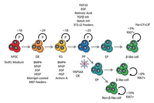 https://cdn.ncbi.nlm.nih.gov/pmc/blobs/40c9/11066437/2a522bf804c2/enm-2023-1910f2.jpg