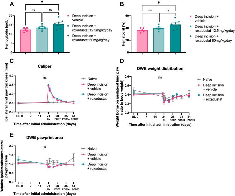 https://cdn.ncbi.nlm.nih.gov/pmc/blobs/40c9/9960722/0e2f6a9d0a2d/JPR-16-573-g0003.jpg