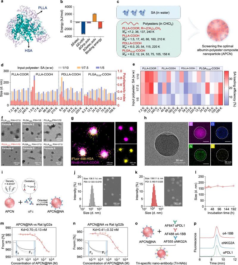 https://cdn.ncbi.nlm.nih.gov/pmc/blobs/40ca/11266419/4aa8631d2b72/41467_2024_50474_Fig2_HTML.jpg