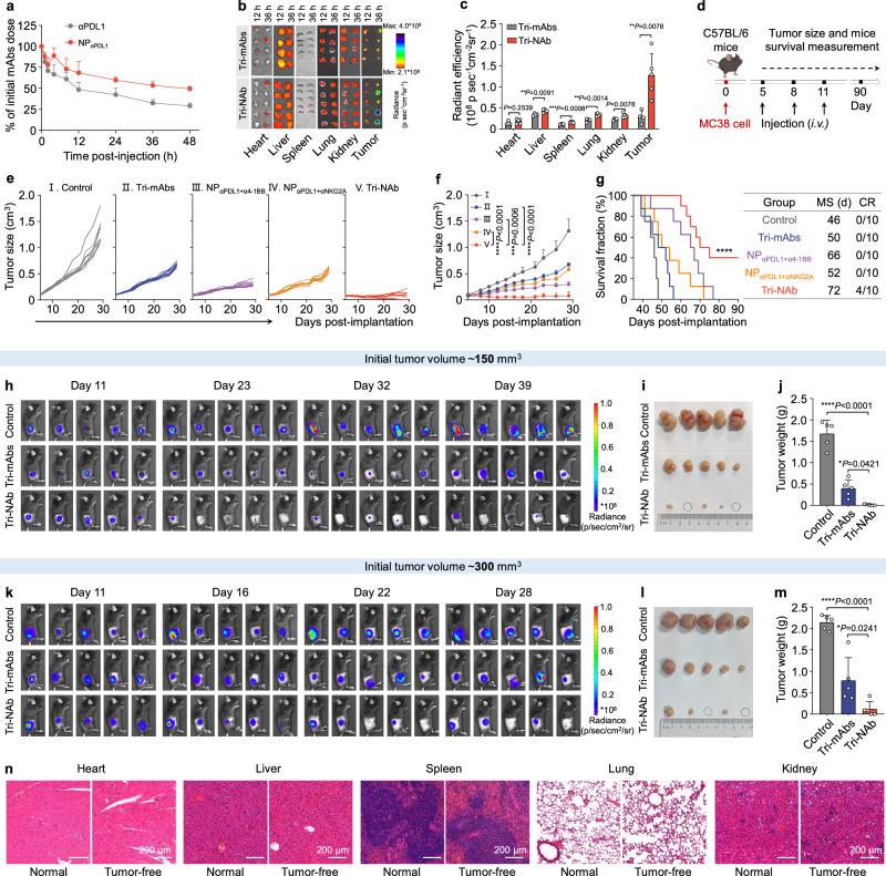 https://cdn.ncbi.nlm.nih.gov/pmc/blobs/40ca/11266419/bf0e7efcd483/41467_2024_50474_Fig4_HTML.jpg