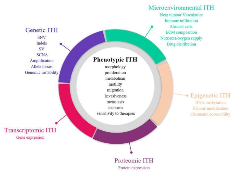 https://cdn.ncbi.nlm.nih.gov/pmc/blobs/40ca/8946040/da74e8e44f62/cancers-14-01384-g002.jpg