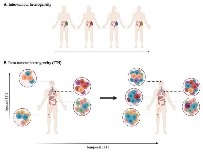 https://cdn.ncbi.nlm.nih.gov/pmc/blobs/40ca/8946040/f1318848fce7/cancers-14-01384-g001.jpg