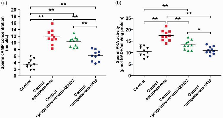 https://cdn.ncbi.nlm.nih.gov/pmc/blobs/40cb/7995462/47cda5d26fb6/10.1177_0300060521999527-fig4.jpg