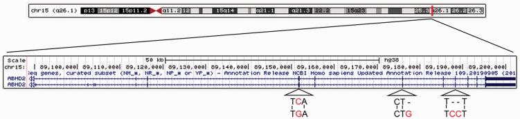https://cdn.ncbi.nlm.nih.gov/pmc/blobs/40cb/7995462/5348ec634a00/10.1177_0300060521999527-fig2.jpg