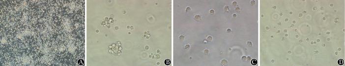 https://cdn.ncbi.nlm.nih.gov/pmc/blobs/40cc/7343123/6f5d7645ee1f/cjh-39-01-041-g001.jpg