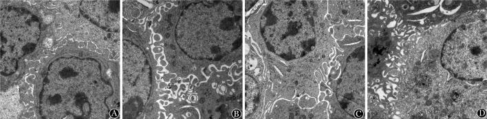 https://cdn.ncbi.nlm.nih.gov/pmc/blobs/40cc/7343123/d97651c1bbd9/cjh-39-01-041-g002.jpg
