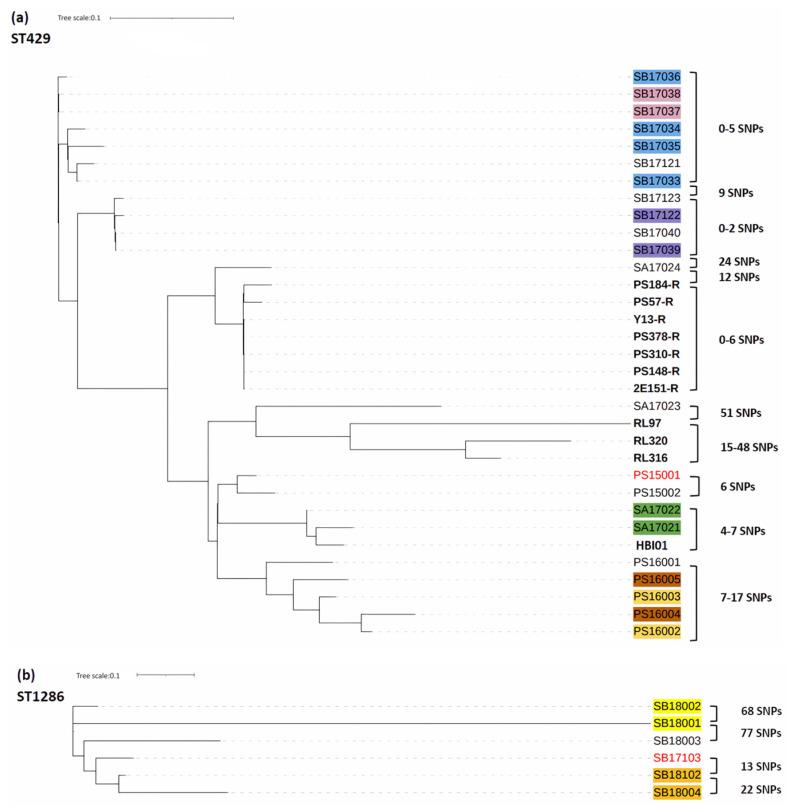 https://cdn.ncbi.nlm.nih.gov/pmc/blobs/40cd/11047599/711ca076bcc3/antibiotics-13-00349-g003.jpg
