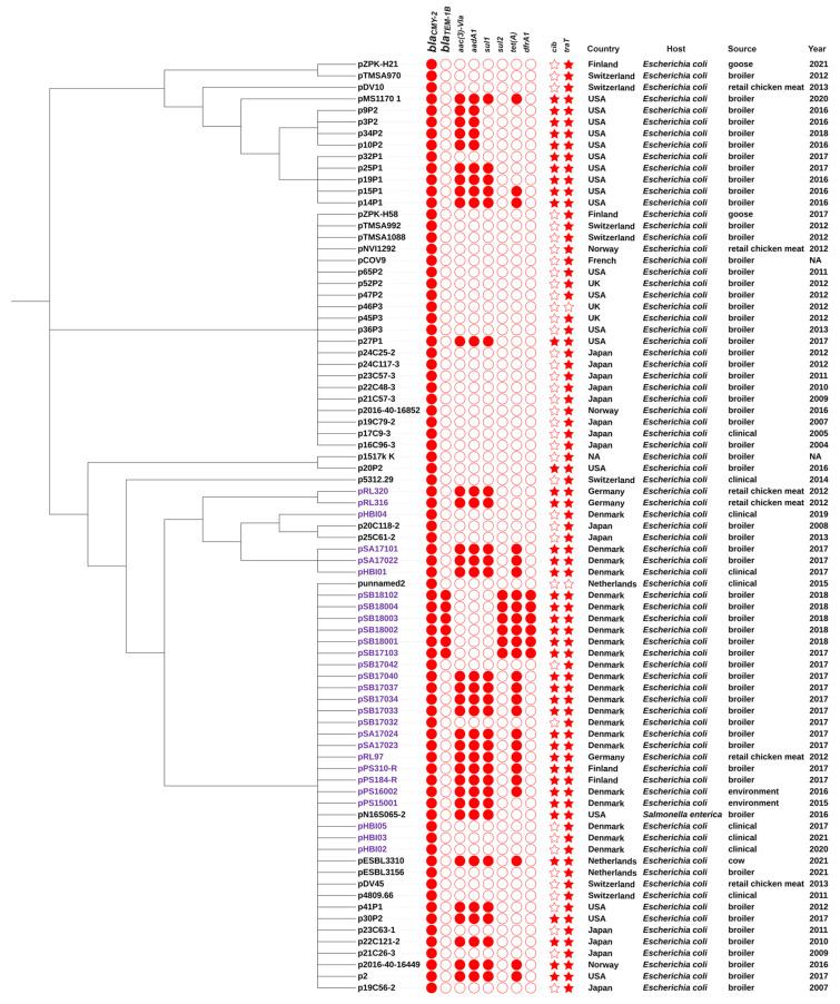 https://cdn.ncbi.nlm.nih.gov/pmc/blobs/40cd/11047599/8e5f472047ff/antibiotics-13-00349-g006.jpg