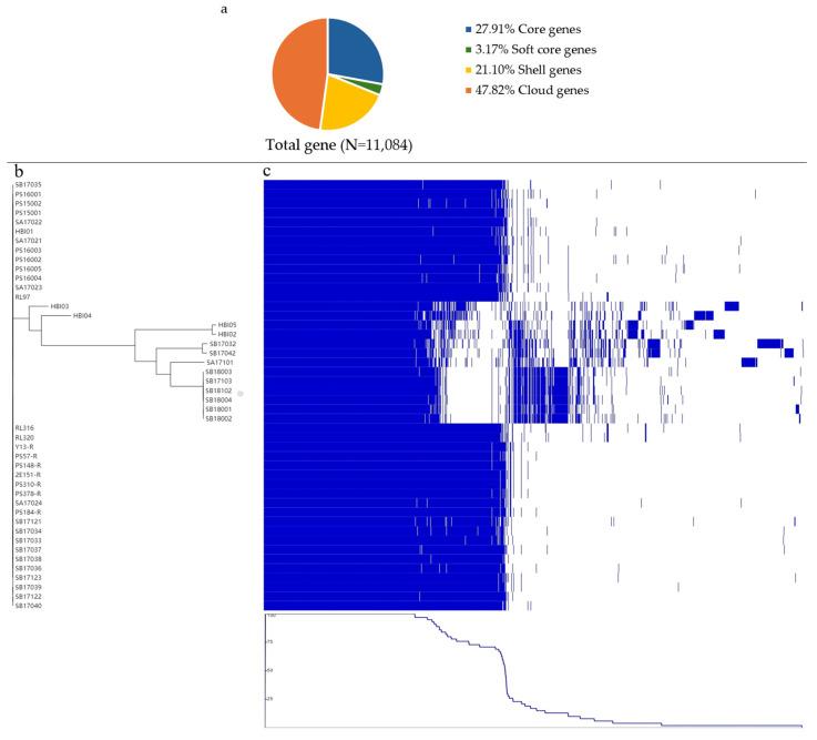 https://cdn.ncbi.nlm.nih.gov/pmc/blobs/40cd/11047599/d53ba083ca62/antibiotics-13-00349-g002.jpg