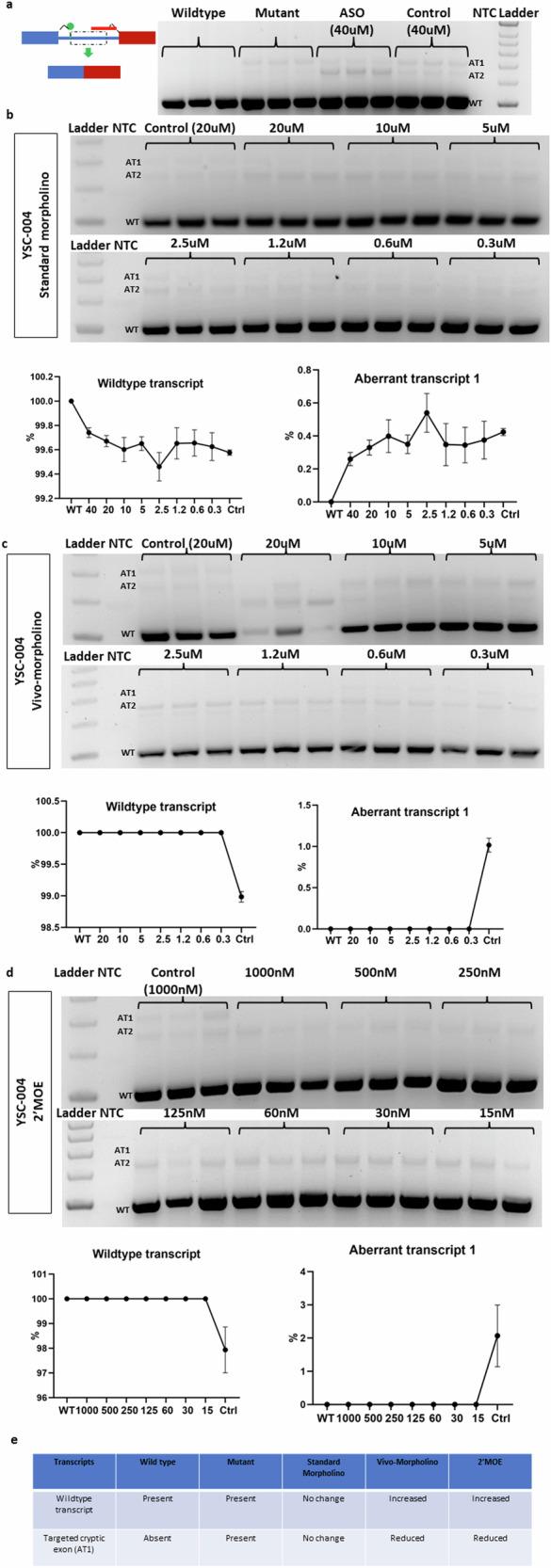 https://cdn.ncbi.nlm.nih.gov/pmc/blobs/40cf/11371919/5370bc77ef26/12276_2024_1292_Fig5_HTML.jpg