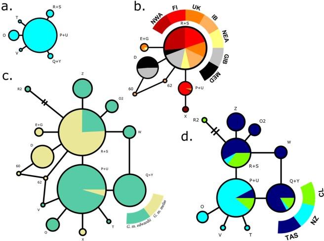 https://cdn.ncbi.nlm.nih.gov/pmc/blobs/40d1/7000830/d7b193459c81/41598_2020_58532_Fig5_HTML.jpg
