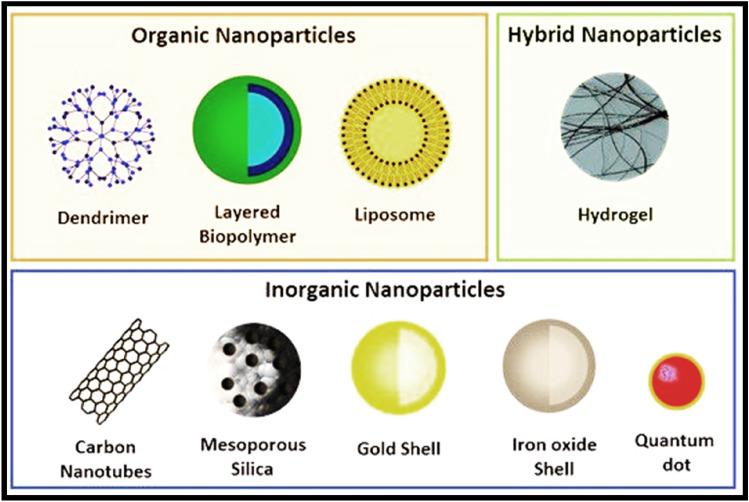 https://cdn.ncbi.nlm.nih.gov/pmc/blobs/40d1/8879181/ed79a733b001/10787_2022_927_Fig6_HTML.jpg
