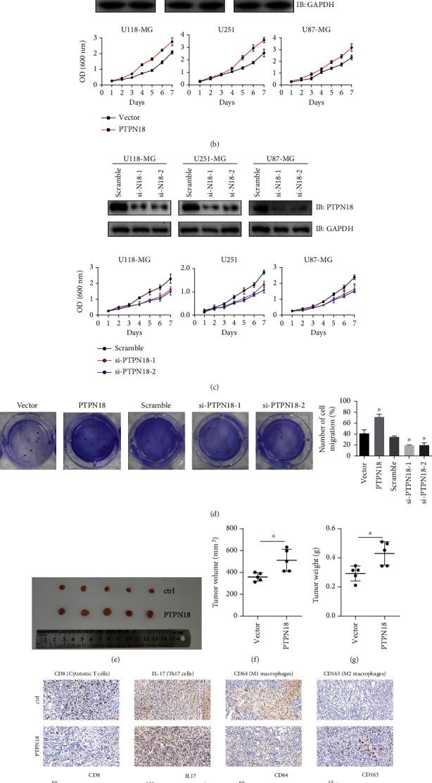 https://cdn.ncbi.nlm.nih.gov/pmc/blobs/40d1/9950791/09b08bd3416e/OMCL2023-2994316.005.jpg
