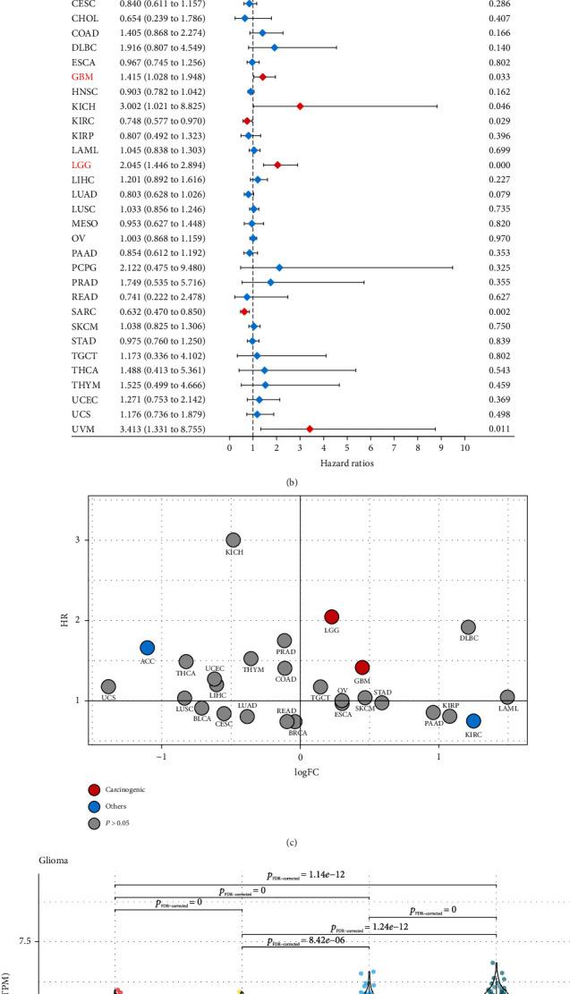 https://cdn.ncbi.nlm.nih.gov/pmc/blobs/40d1/9950791/893bbf9d2ad9/OMCL2023-2994316.001.jpg