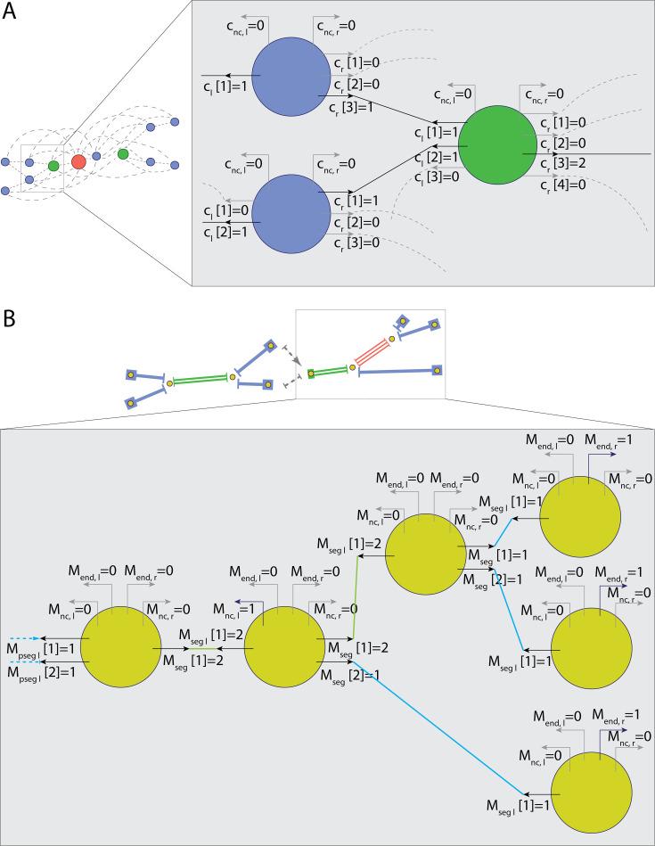 https://cdn.ncbi.nlm.nih.gov/pmc/blobs/40d4/11999694/719129ae909b/elife-91150-app2-fig1.jpg