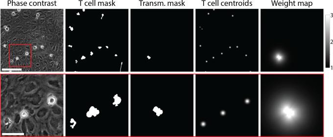 https://cdn.ncbi.nlm.nih.gov/pmc/blobs/40d4/11999694/7ce81b55e267/elife-91150-fig2.jpg