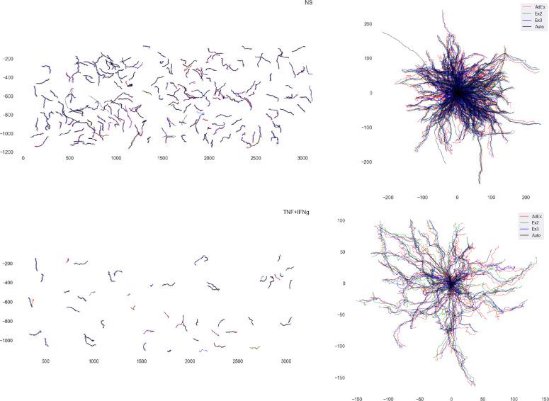 https://cdn.ncbi.nlm.nih.gov/pmc/blobs/40d4/11999694/fd51e3068770/elife-91150-fig5-figsupp1.jpg