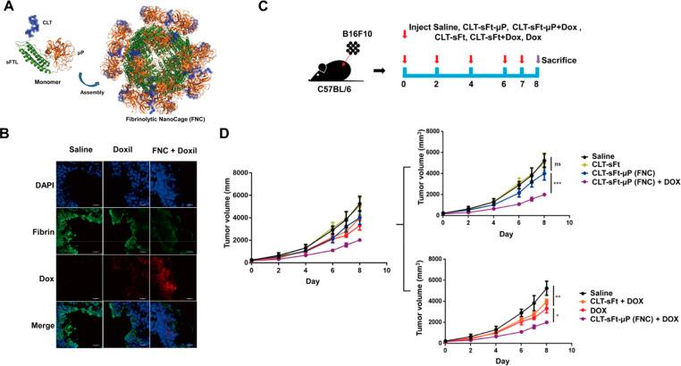 https://cdn.ncbi.nlm.nih.gov/pmc/blobs/40d4/9673152/0658562c8d8c/bc2c00030_0005.jpg