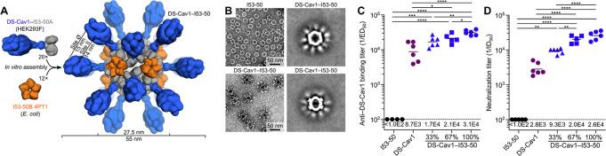 https://cdn.ncbi.nlm.nih.gov/pmc/blobs/40d4/9673152/f2e5c02e4c65/bc2c00030_0004.jpg