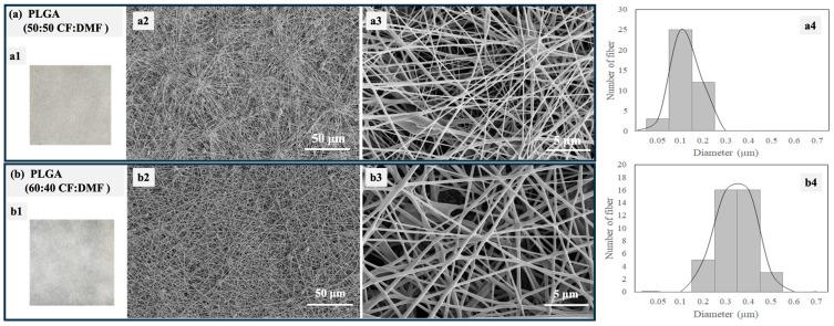 https://cdn.ncbi.nlm.nih.gov/pmc/blobs/40d6/11207424/19778ff8f400/polymers-16-01679-g005.jpg