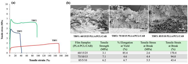 https://cdn.ncbi.nlm.nih.gov/pmc/blobs/40d6/11207424/a55830851181/polymers-16-01679-g003.jpg
