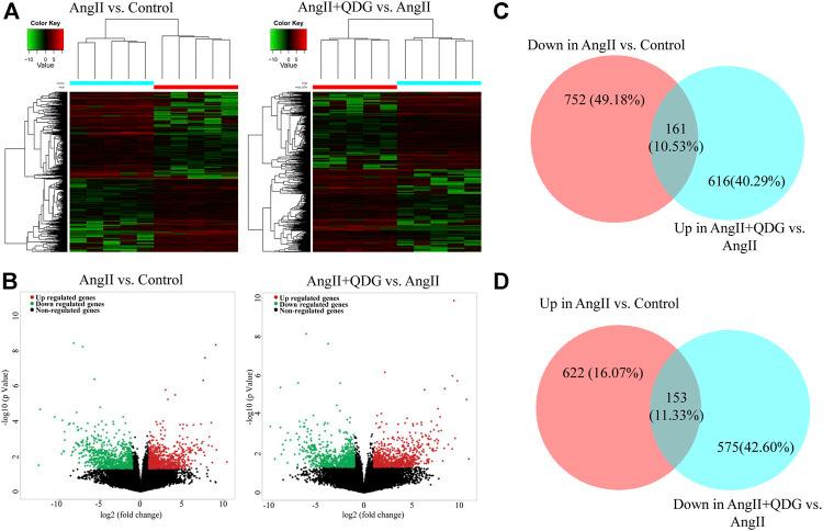https://cdn.ncbi.nlm.nih.gov/pmc/blobs/40d7/8358933/01b468d68a21/fphar-12-688877-g003.jpg