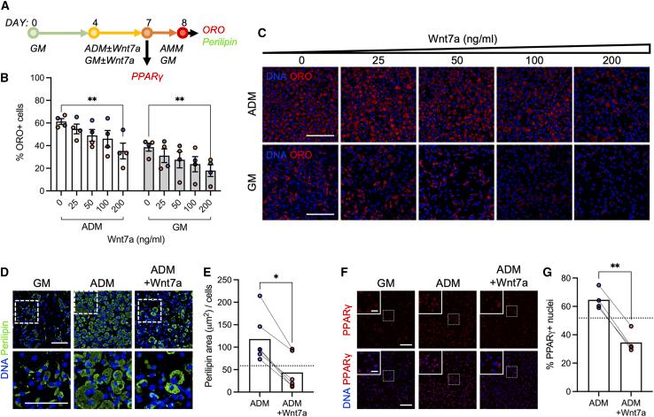 https://cdn.ncbi.nlm.nih.gov/pmc/blobs/40d8/10147829/9a206e052562/gr1.jpg