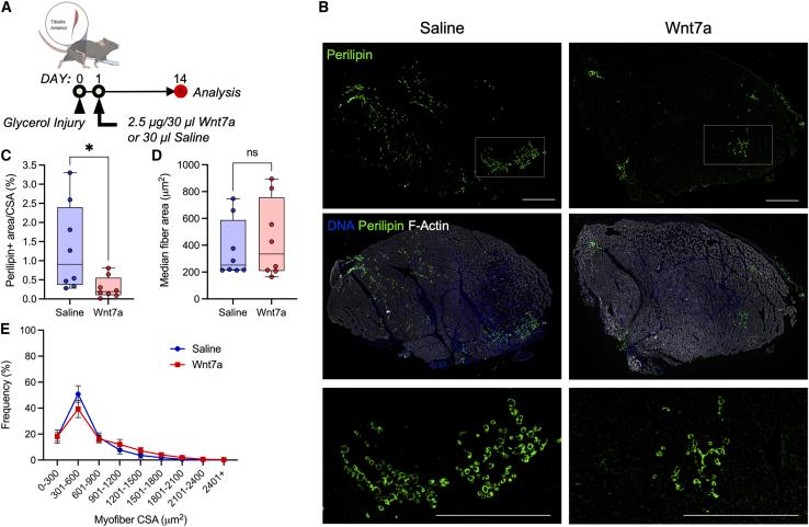 https://cdn.ncbi.nlm.nih.gov/pmc/blobs/40d8/10147829/ab03615999e1/gr6.jpg