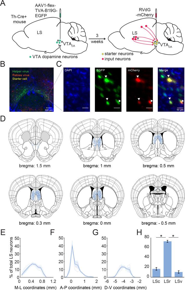 https://cdn.ncbi.nlm.nih.gov/pmc/blobs/40d9/12136592/58e7676cd332/elife-97259-fig5.jpg