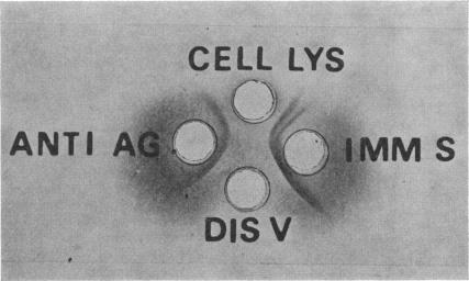 https://cdn.ncbi.nlm.nih.gov/pmc/blobs/40db/2366656/d73eecd4aa48/bullwho00466-0017-a.jpg