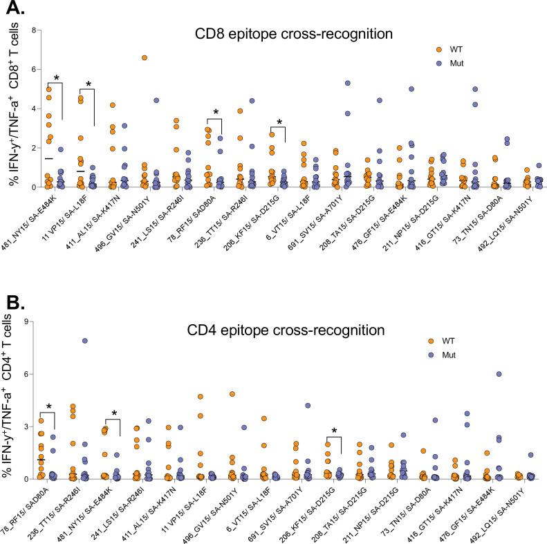 https://cdn.ncbi.nlm.nih.gov/pmc/blobs/40db/9355563/61741189b85d/elife-78374-fig5.jpg