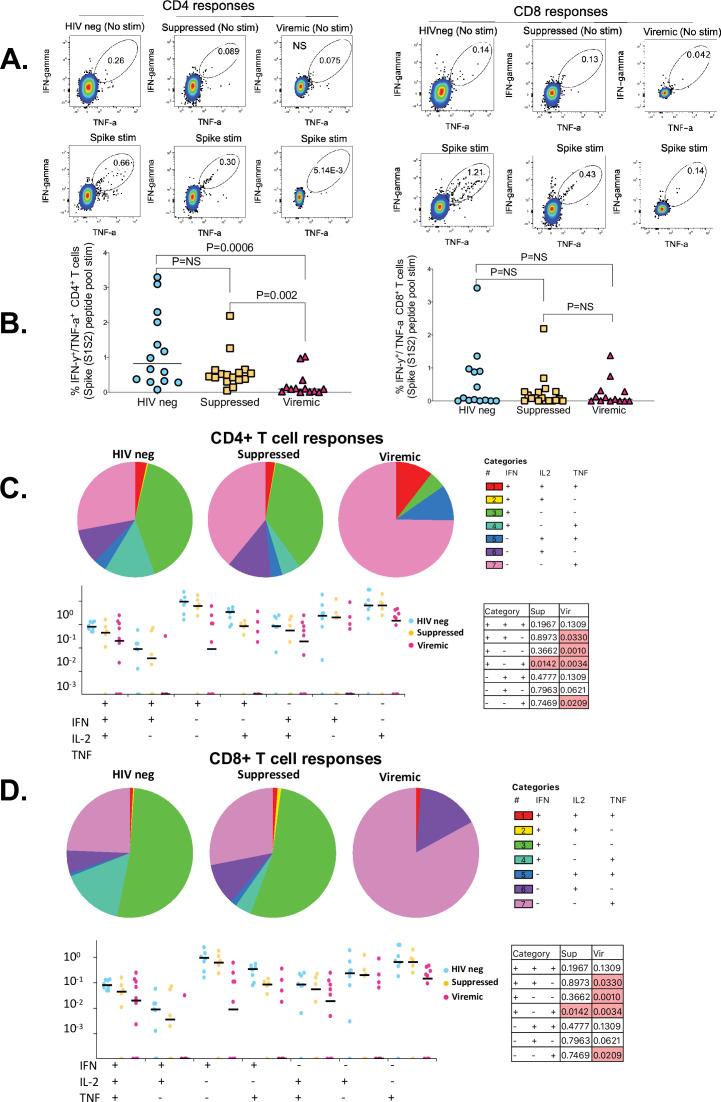https://cdn.ncbi.nlm.nih.gov/pmc/blobs/40db/9355563/7af892b94d6d/elife-78374-fig1.jpg