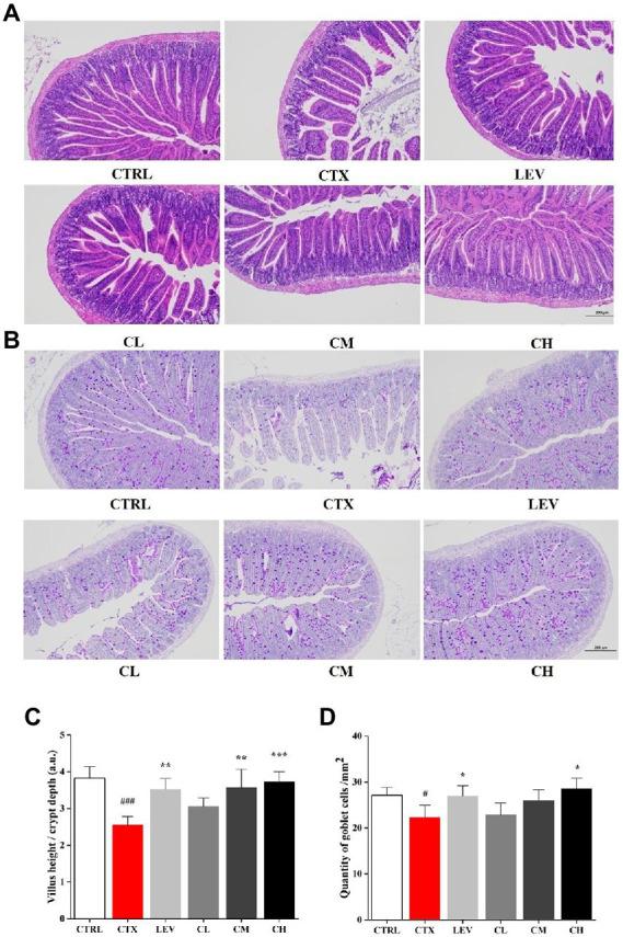 https://cdn.ncbi.nlm.nih.gov/pmc/blobs/40dc/9911820/626012da1551/fmicb-14-1055197-g002.jpg