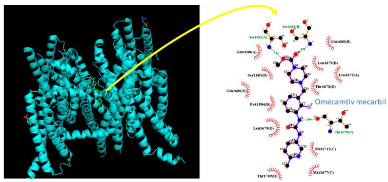 https://cdn.ncbi.nlm.nih.gov/pmc/blobs/40e0/10216194/b32ac58bf5f5/biomedicines-11-01351-g009.jpg