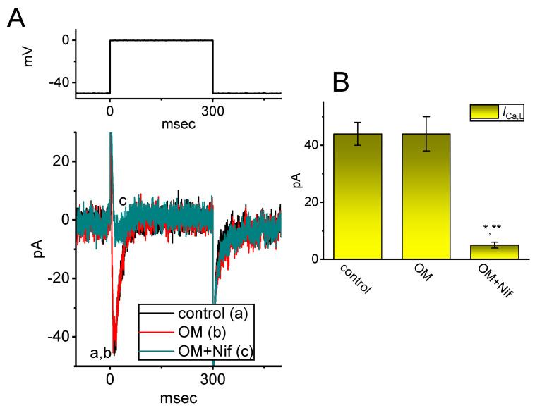 https://cdn.ncbi.nlm.nih.gov/pmc/blobs/40e0/10216194/da67ee8c315c/biomedicines-11-01351-g006.jpg