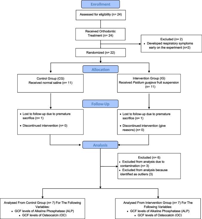 https://cdn.ncbi.nlm.nih.gov/pmc/blobs/40e0/12182530/b4c92b469835/44445_2025_28_Fig3_HTML.jpg