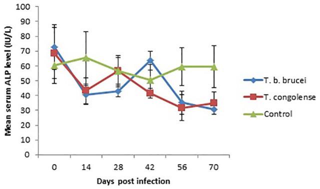 https://cdn.ncbi.nlm.nih.gov/pmc/blobs/40e1/7446258/0159d6c9423f/10.1177_2632010X20938389-fig6.jpg